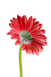 Similar image 700945