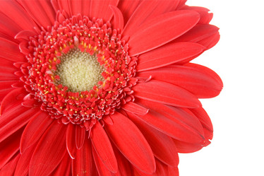 Similar image 700946