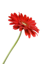 Similar image 700948