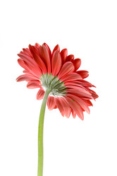 Similar image 700949