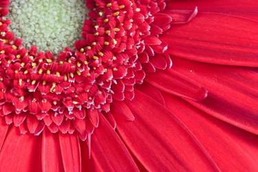 Similar image 700952