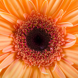 Similar image 700956