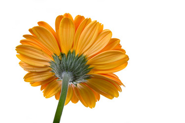 Similar image 700959