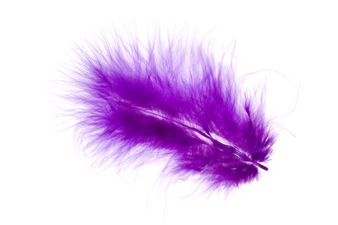 Similar image 700962