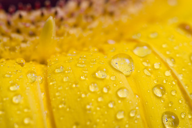 Similar image 700963