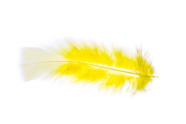 Similar image 700973