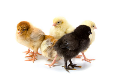 Similar image 701197