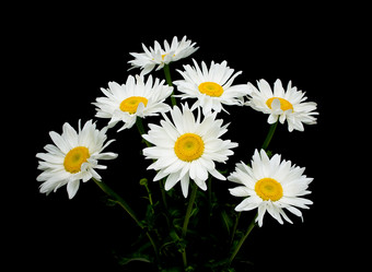 Similar image 701240