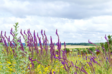 Similar image 701246