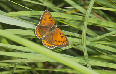 Similar image 701251