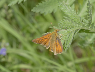 Similar image 701253