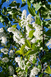 Similar image 701273