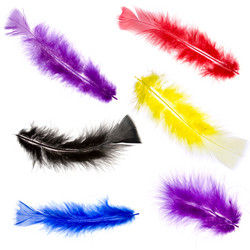 Similar image 701393