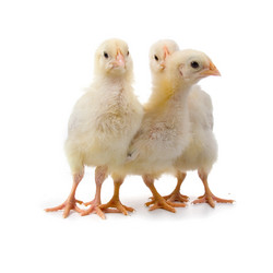 Similar image 701417