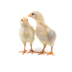 Similar image 701418