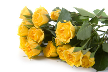 Similar image 701427