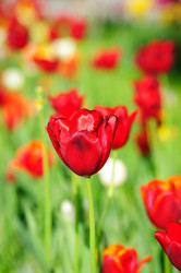 Similar image 701461