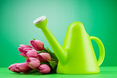 Similar image 701463