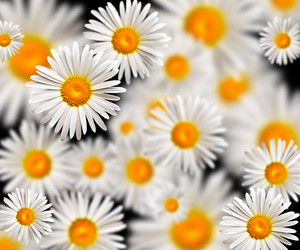 Similar image 701491