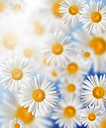 Similar image 701494