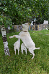 Similar image 701519