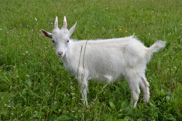 Similar image 701521