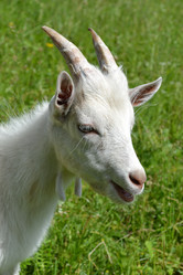 Similar image 701522