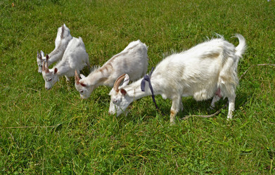 Similar image 701525