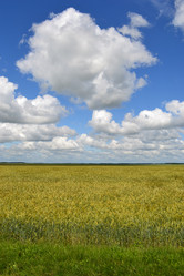 Similar image 701526