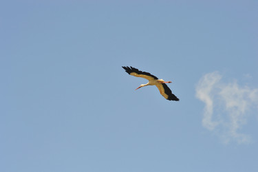 Similar image 701529