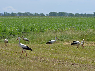 Similar image 701530