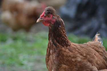 Similar image 701533