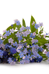 Similar image 701536