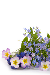 Similar image 701542