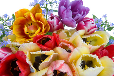 Similar image 701544