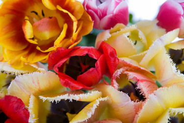 Similar image 701547