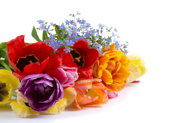 Similar image 701551