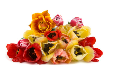 Similar image 701593