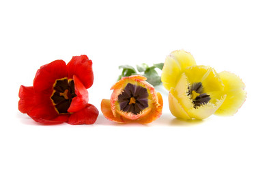 Similar image 701594