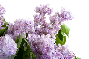 Similar image 701597