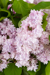 Similar image 701598