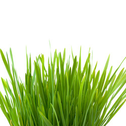 Similar image 701604