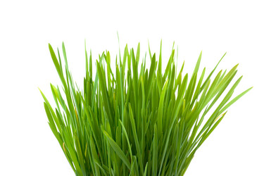 Similar image 701606