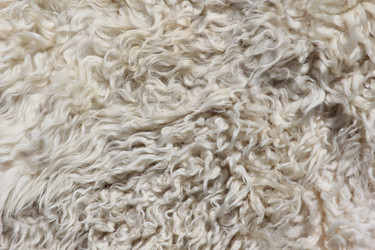 Similar image 701620