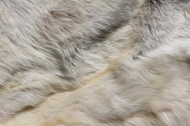 Similar image 701621