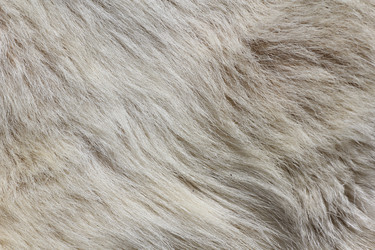 Similar image 701622