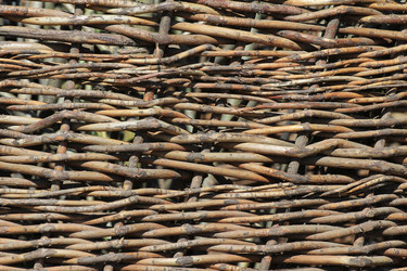 Similar image 701644