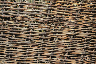 Similar image 701645