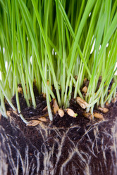 Similar image 701703