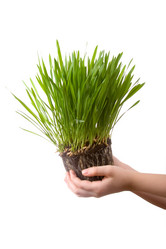 Similar image 701705